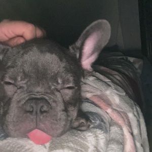 Meet your Posher, Diamond